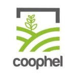 COOPHEL ASEI, SOCIEDAD COOPERATIVA DE AHORRO Y CRÉDITO DE R.L DE C.V